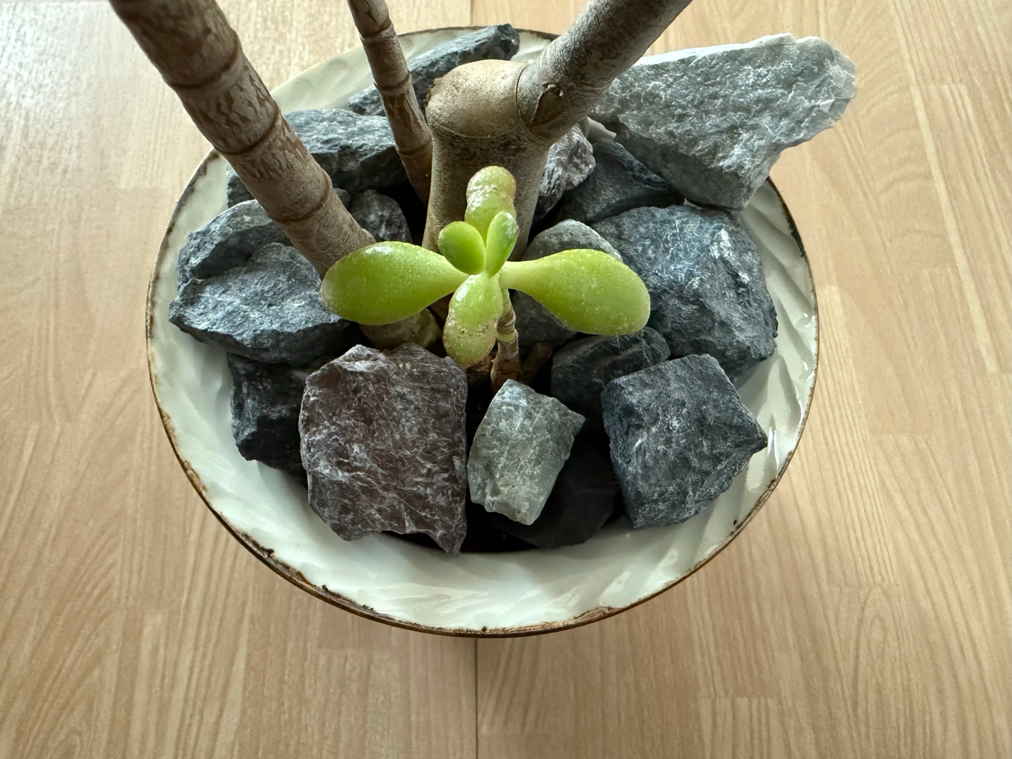 マルチングストーン